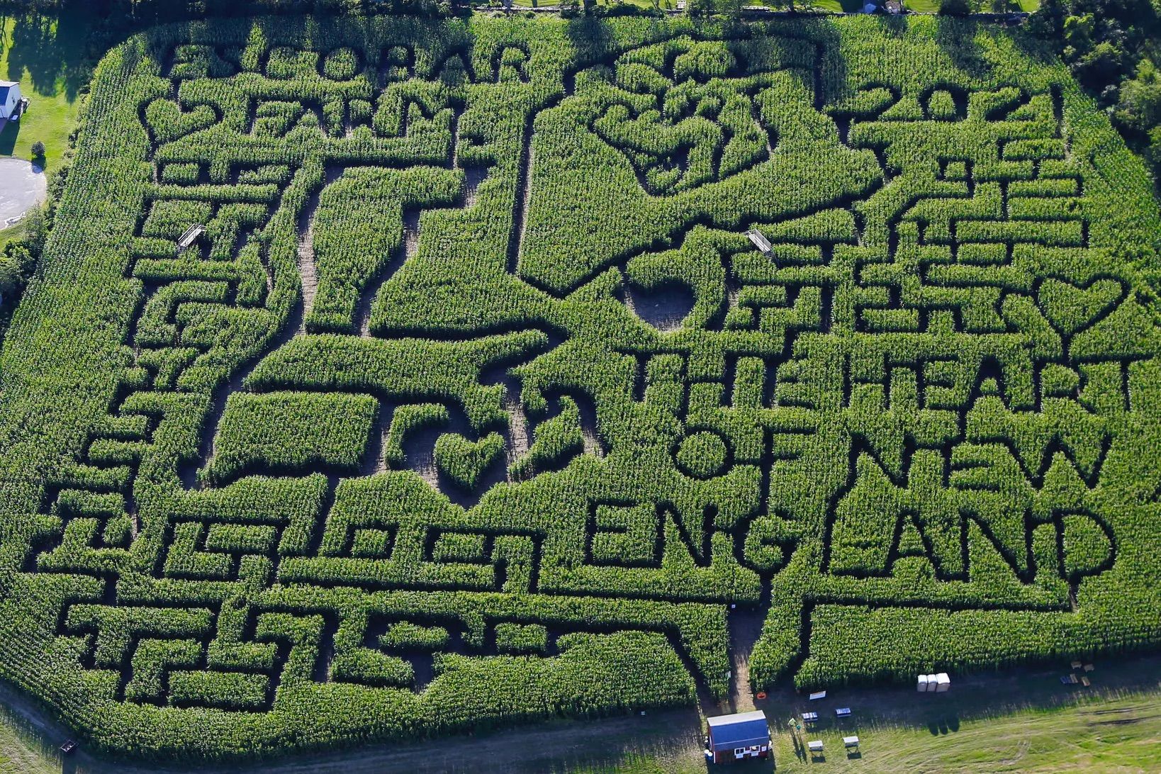 EscobarCornMaze